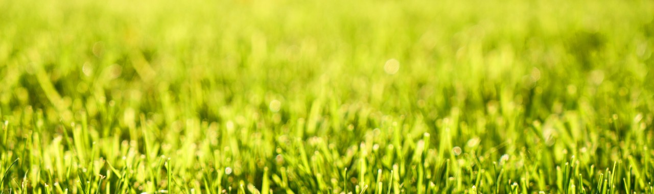 Rozpoczynamy sezon koszenia!