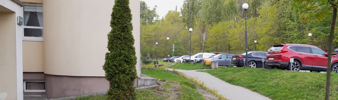 ul. Kokota 28 w Rudzie Śląskiej - nasadzenie żywopłotu